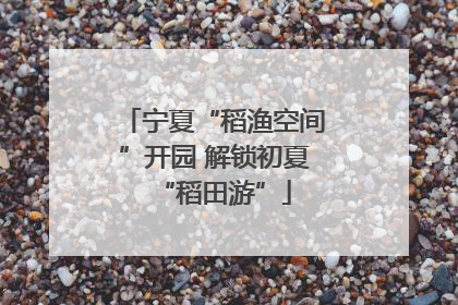 宁夏“稻渔空间”开园 解锁初夏“稻田游”
