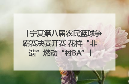 宁夏第八届农民篮球争霸赛决赛开赛 花样“非遗”燃动“村BA”