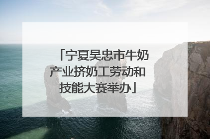 宁夏吴忠市牛奶产业挤奶工劳动和技能大赛举办