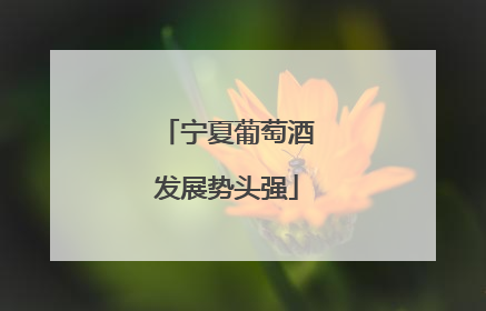 宁夏葡萄酒发展势头强