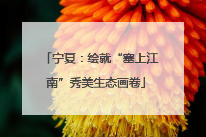宁夏：绘就“塞上江南”秀美生态画卷