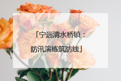 宁远清水桥镇：防汛演练筑防线