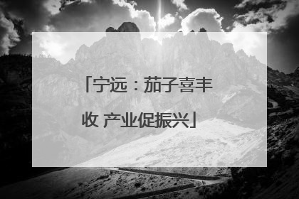 宁远：茄子喜丰收 产业促振兴