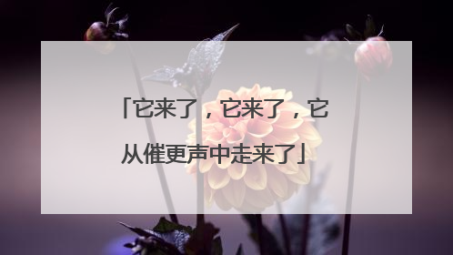 它来了，它来了，它从催更声中走来了