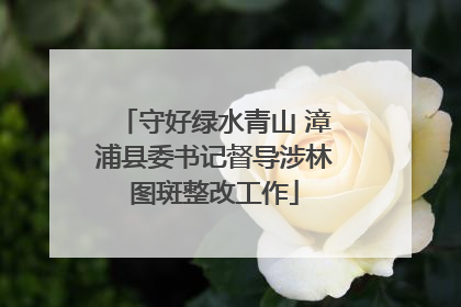 守好绿水青山 漳浦县委书记督导涉林图斑整改工作
