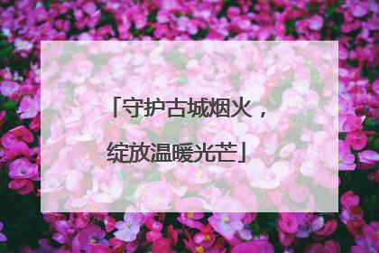 守护古城烟火，绽放温暖光芒