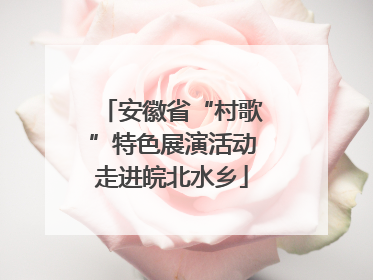 安徽省“村歌”特色展演活动走进皖北水乡
