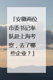 安徽两位市委书记率队赴上海考察，去了哪些企业？