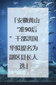 安徽黄山“准90后”干部洪国华拟提名为副区县长人选