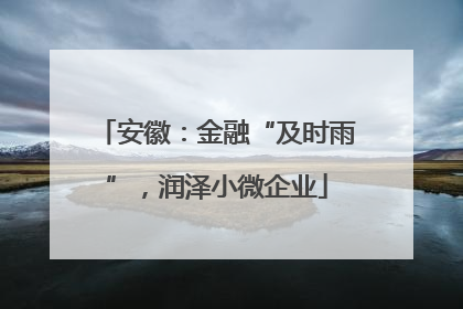 安徽：金融“及时雨”，润泽小微企业