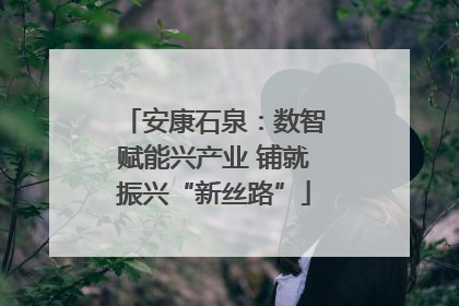 安康石泉：数智赋能兴产业 铺就振兴“新丝路”