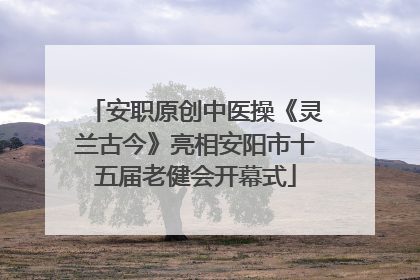 安职原创中医操《灵兰古今》亮相安阳市十五届老健会开幕式