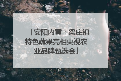 安阳内黄：梁庄镇特色蔬果亮相央视农业品牌甄选会