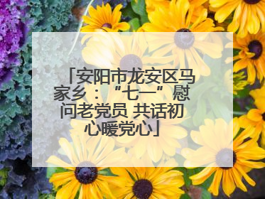 安阳市龙安区马家乡：“七一”慰问老党员 共话初心暖党心