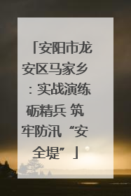安阳市龙安区马家乡：实战演练砺精兵 筑牢防汛“安全堤”
