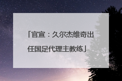 官宣：久尔杰维奇出任国足代理主教练