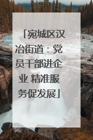宛城区汉冶街道：党员干部进企业 精准服务促发展