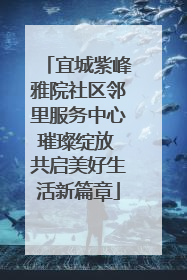 宜城紫峰雅院社区邻里服务中心璀璨绽放 共启美好生活新篇章