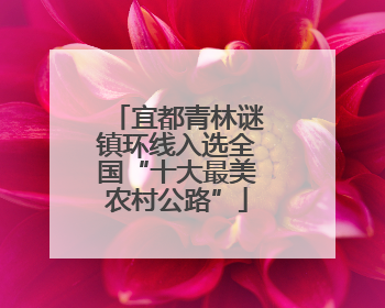 宜都青林谜镇环线入选全国“十大最美农村公路”