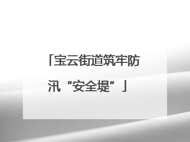 宝云街道筑牢防汛“安全堤”
