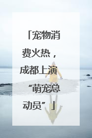 宠物消费火热，成都上演“萌宠总动员”
