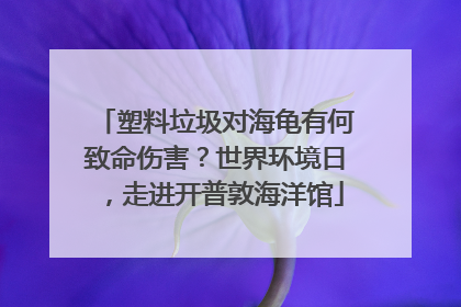 塑料垃圾对海龟有何致命伤害？世界环境日，走进开普敦海洋馆