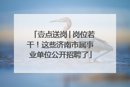 壹点送岗│岗位若干！这些济南市属事业单位公开招聘了