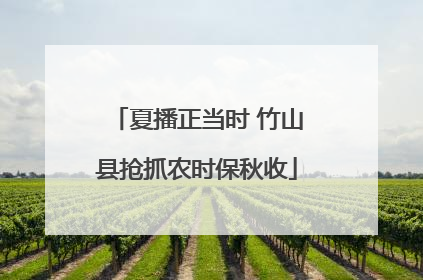 夏播正当时 竹山县抢抓农时保秋收