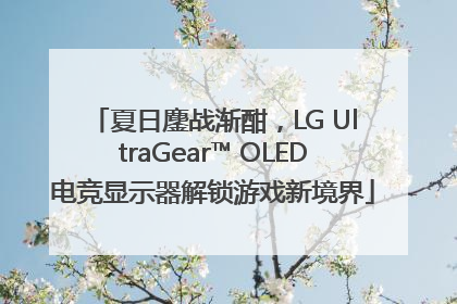 夏日鏖战渐酣，LG UltraGear™ OLED电竞显示器解锁游戏新境界