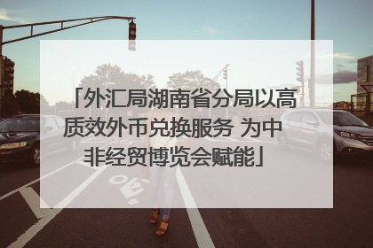 外汇局湖南省分局以高质效外币兑换服务 为中非经贸博览会赋能