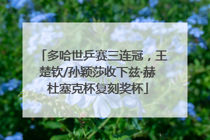 多哈世乒赛三连冠，王楚钦/孙颖莎收下兹·赫杜塞克杯复刻奖杯
