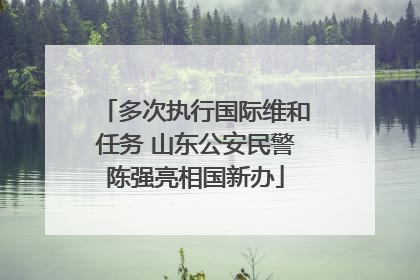 多次执行国际维和任务 山东公安民警陈强亮相国新办