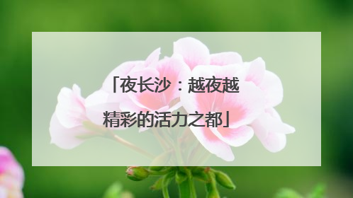 夜长沙：越夜越精彩的活力之都
