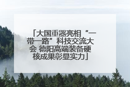 大国重器亮相“一带一路”科技交流大会 德阳高端装备硬核成果彰显实力