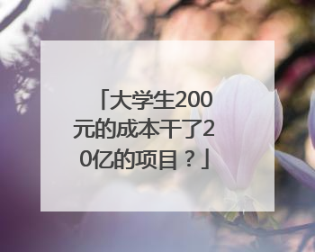大学生200元的成本干了20亿的项目？