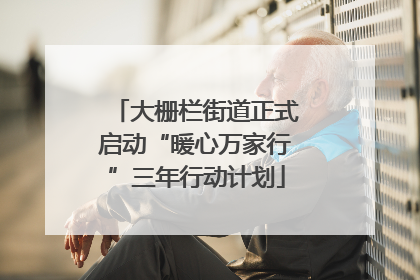 大栅栏街道正式启动“暖心万家行”三年行动计划