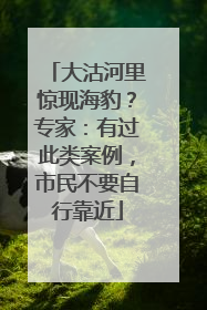 大沽河里惊现海豹？专家：有过此类案例，市民不要自行靠近
