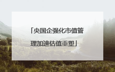 央国企强化市值管理加速估值重塑