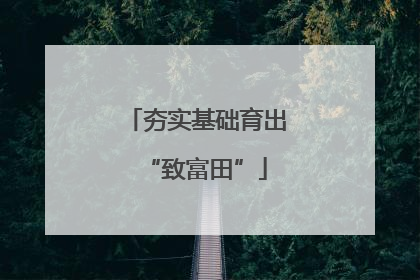 夯实基础育出“致富田”
