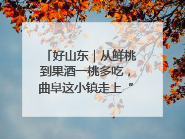 好山东｜从鲜桃到果酒一桃多吃，曲阜这小镇走上“桃”金路