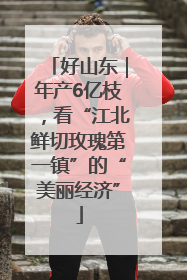 好山东｜年产6亿枝，看“江北鲜切玫瑰第一镇”的“美丽经济”