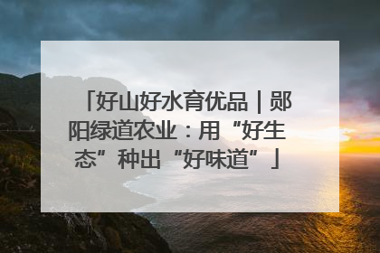 好山好水育优品｜郧阳绿道农业：用“好生态”种出“好味道”