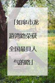 如皋市龙游湾路荣获全国最具人气的路