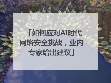 如何应对AI时代网络安全挑战，业内专家给出建议