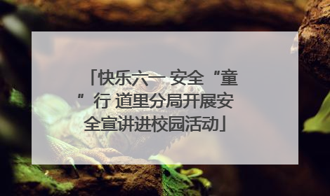 快乐六一 安全“童”行 道里分局开展安全宣讲进校园活动