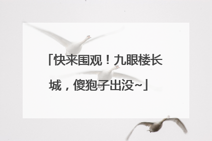 快来围观！九眼楼长城，傻狍子出没~