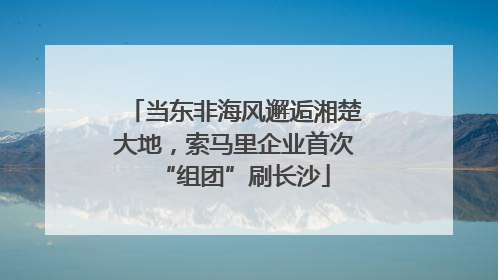 当东非海风邂逅湘楚大地，索马里企业首次“组团”刷长沙