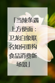 当辣条遇上方便面：卫龙白象联名如何重构食品消费新场景