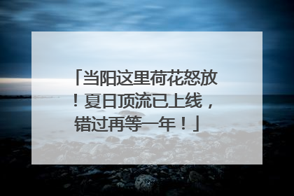 当阳这里荷花怒放！夏日顶流已上线，错过再等一年！