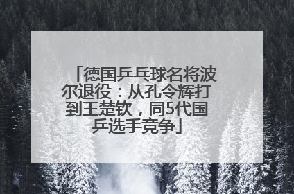 德国乒乓球名将波尔退役：从孔令辉打到王楚钦，同5代国乒选手竞争